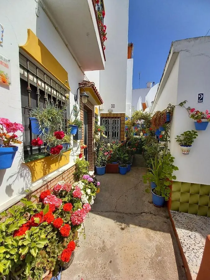 Hébergement de vacances Brand New - Casa El Cuartel With Private Seaview Rooftop Conil De La Frontera